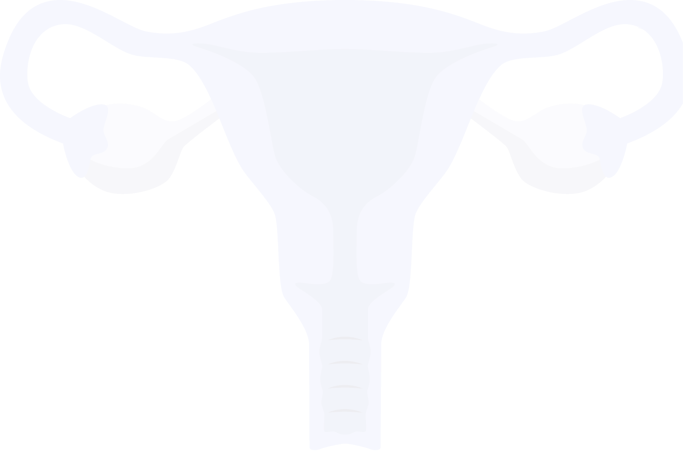 Dibujo del sistema reproductivo